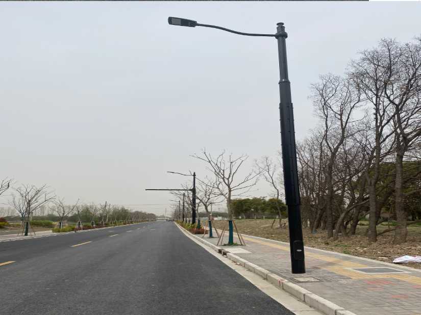 永福县上海综合杆 太阳能路灯工程